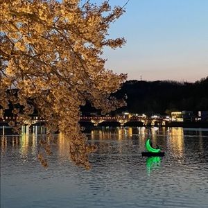 Meet your Posher, Kayoung